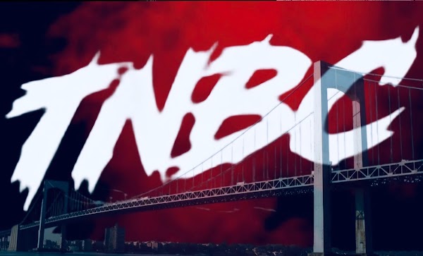 throgs neck batting cages photo 2