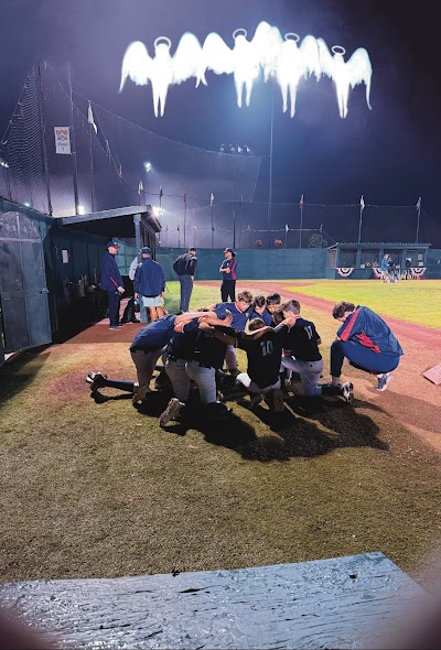Titans Baseball Club photo 5