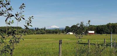 Toledo Softball fields