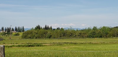 Toledo Softball fields photo 4