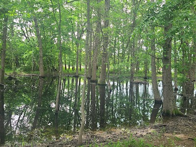 Tom Sawyer Park softball fields