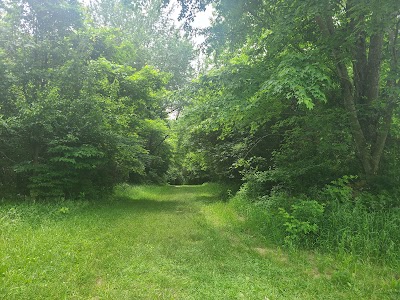 Tom Sawyer Park softball fields photo 3