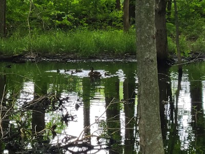 Tom Sawyer Park softball fields photo 4