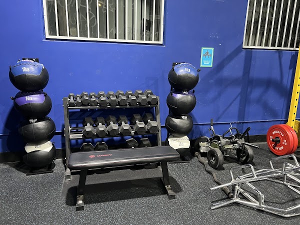 Top of the Lineup Sports Training