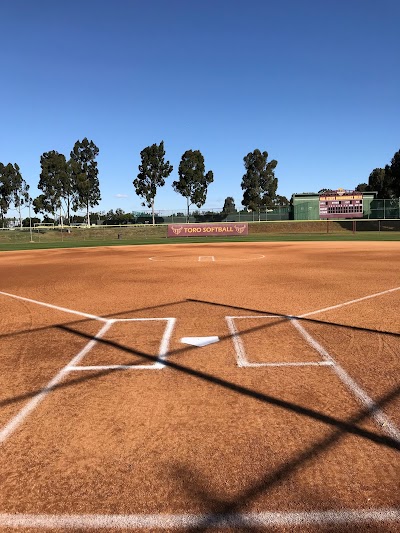 Toro Diamond photo 3