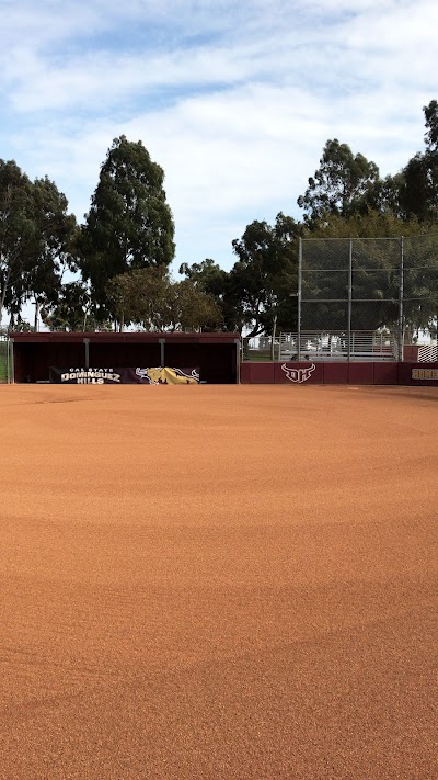 Toro Diamond photo 4