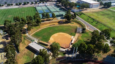 Toro Diamond photo 5