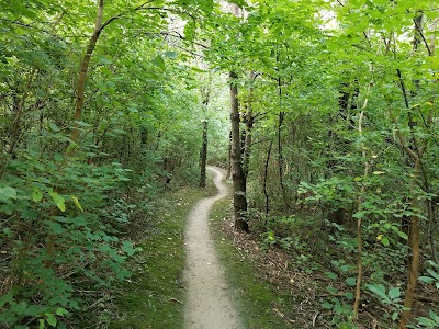 Tranquility Park photo 5