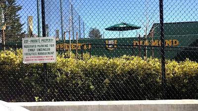 Ulrich Field & Benedetti Diamond photo 4