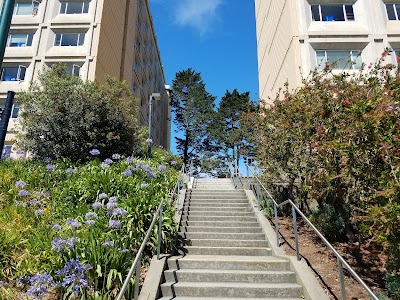 Ulrich Field & Benedetti Diamond photo 5