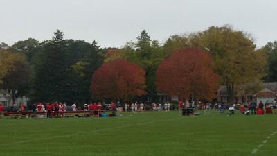 University Bay Fields/Far West Fields photo 3