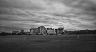 University Bay Fields/Far West Fields photo 4