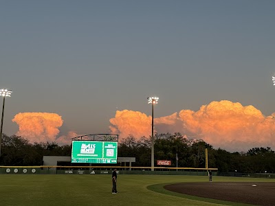 USF Baseball Stadium photo 2