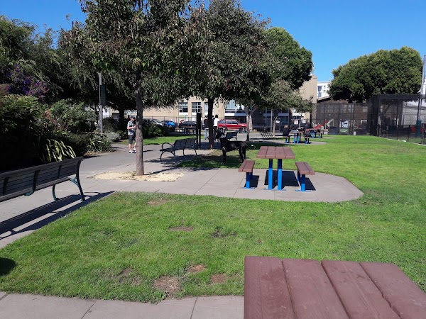 Victoria Manalo Draves Park photo 2