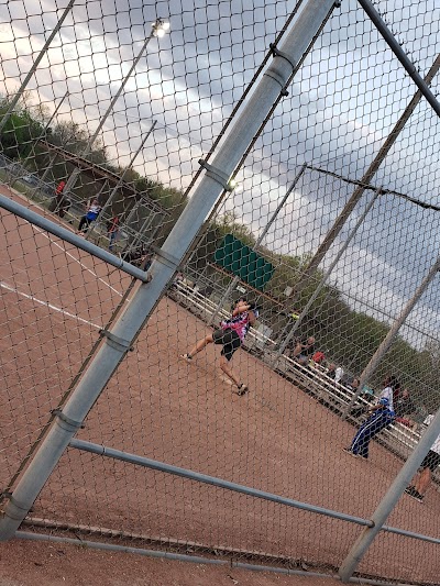 Volunteer Park photo 2