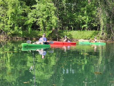 Volunteer Park photo 4