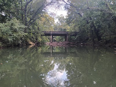 Volunteer Park photo 5