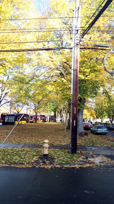 Wallace Field photo 2