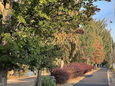 Wallace Field photo 4