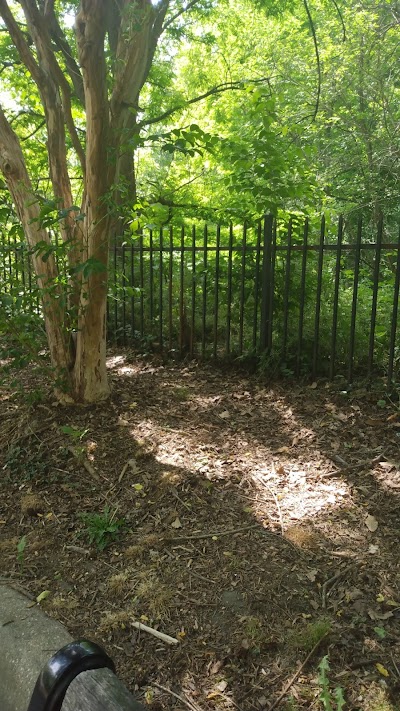 Walter Pierce Park Athletic Field photo 4