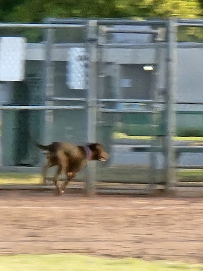 West Douglas Park Softball Diamond
