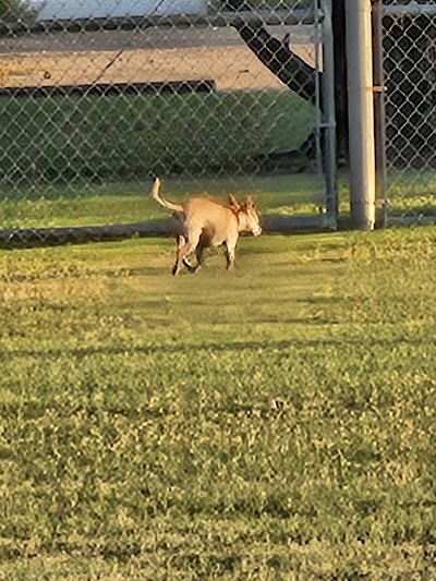 West Douglas Park Softball Diamond photo 2