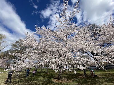 West Potomac Park Field #6 (Ohio Drive) photo 4