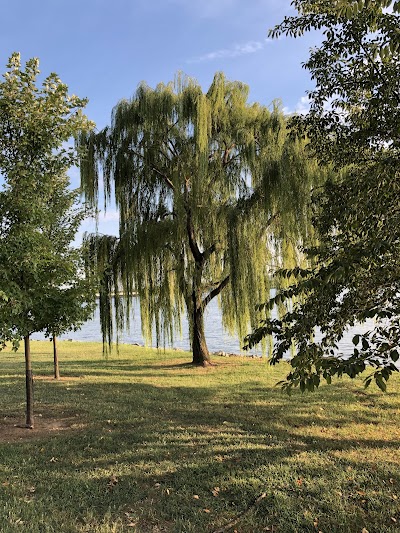 West Potomac Park Field #6 (Ohio Drive) photo 5