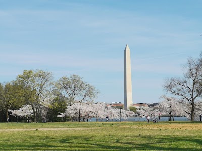West Potomac Park Sport Field photo 3