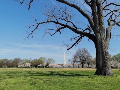 West Potomac Park Sport Field photo 5