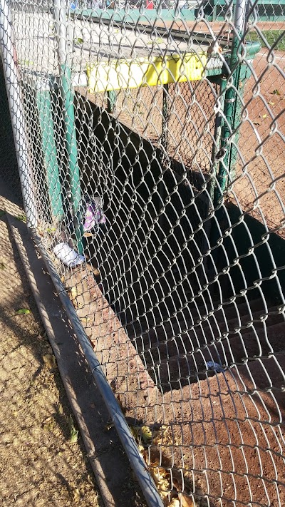 West Sacramento Little League photo 5