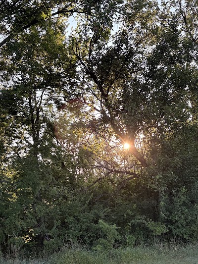 Westchester Park photo 5