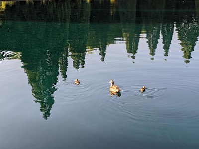 Westmoreland Park Sports Fields photo 5