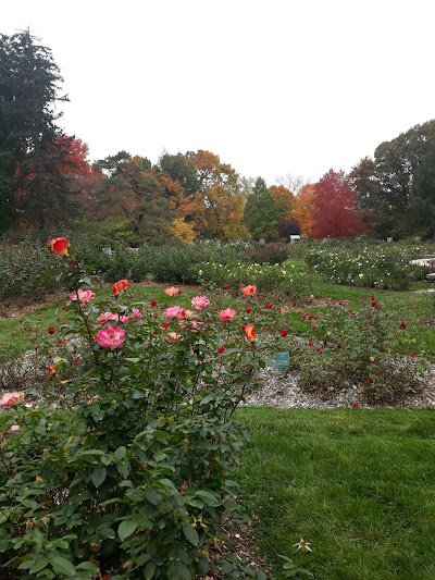 Whetstone Community Recreation