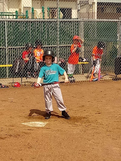 Whitney Little League