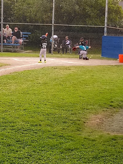 Whitney Little League photo 2