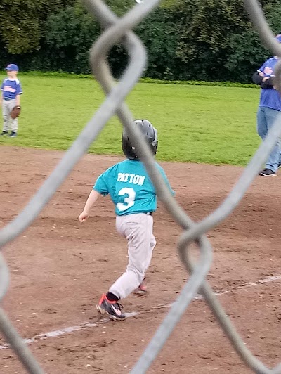 Whitney Little League photo 3