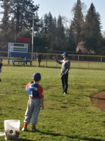 Whitney Little League photo 5