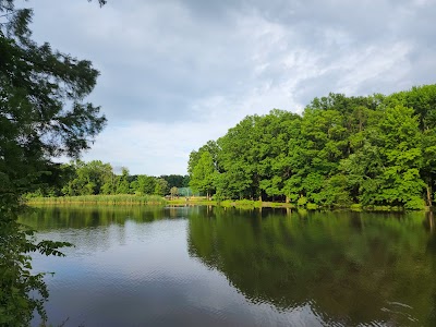 Willowbrook Park Softball Fields photo 2
