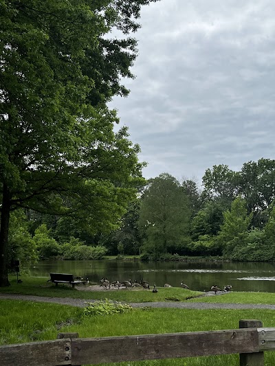 Willowbrook Park Softball Fields photo 3