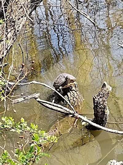 Willowbrook Park Softball Fields photo 4
