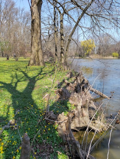 Willowbrook Park Softball Fields photo 5