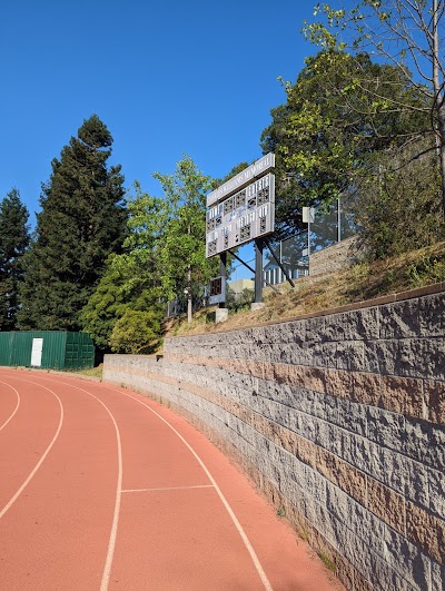 Witter Field photo 3