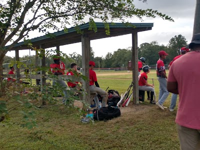 World of Baseball Complex photo 2