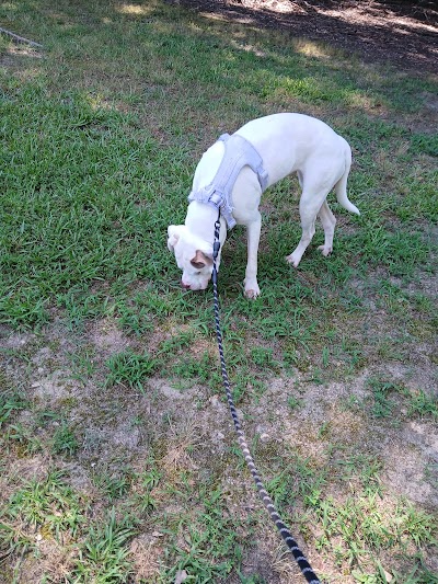 Worthdale Park softball field photo 2