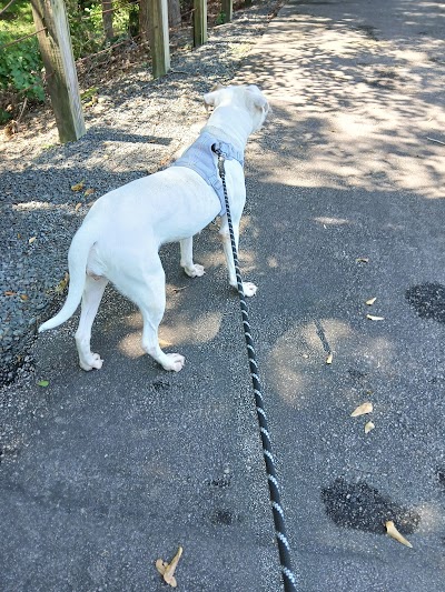 Worthdale Park softball field photo 5