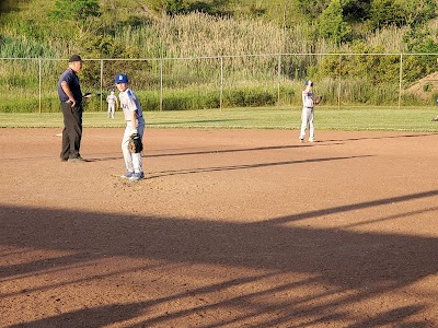 York Road Recreation Field