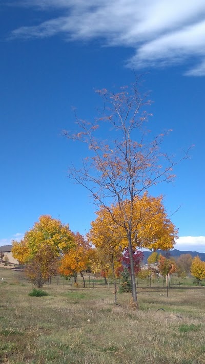 Youth Memorial Sports Complex photo 5