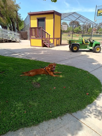 Yvonne B. Burke Sports Complex Baseball Fields 5401 S. Fairfax Avenue Los Angeles Ca 90056 photo 4